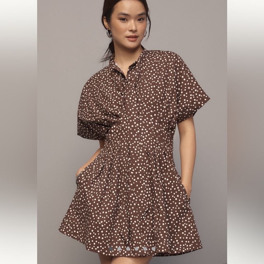 Anthropologie Exquise Tie Neck Tobie Mini Dress - Brown Polka Dot